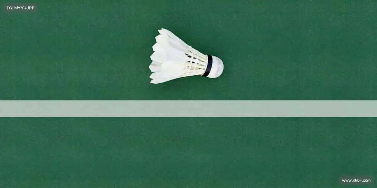 为什么选择我们？